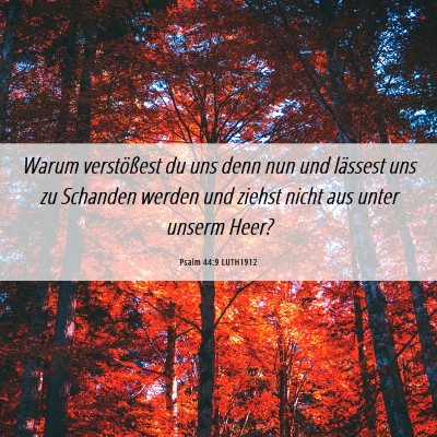 Picture 06 - Psalm 44:9 LUTH1912 - Warum verstößest du uns denn nun und lässest - Bible Verse Picture