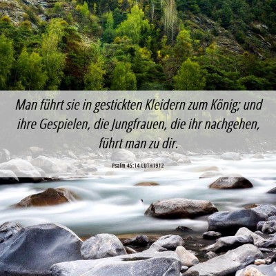 Picture 06 - Psalm 45:14 LUTH1912 - Man führt sie in gestickten Kleidern zum König; - Bible Verse Picture