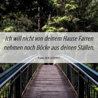 Picture 06 - Psalm 50:9 LUTH1912 - Ich will nicht von deinem Hause Farren nehmen - Bible Verse Picture
