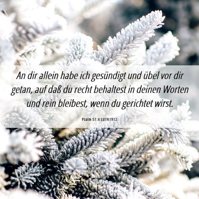 Picture 06 - Psalm 51:4 LUTH1912 - An dir allein habe ich gesündigt und übel vor - Bible Verse Picture