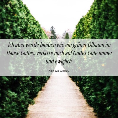 Picture 06 - Psalm 52:8 LUTH1912 - Ich aber werde bleiben wie ein grüner Ölbaum im - Bible Verse Picture
