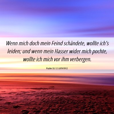 Picture 06 - Psalm 55:12 LUTH1912 - Wenn mich doch mein Feind schändete, wollte - Bible Verse Picture