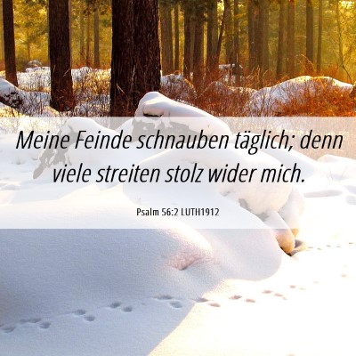 Picture 06 - Psalm 56:2 LUTH1912 - Meine Feinde schnauben täglich; denn viele - Bible Verse Picture