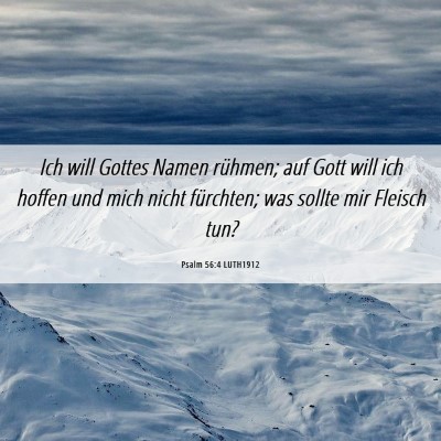Picture 06 - Psalm 56:4 LUTH1912 - Ich will Gottes Namen rühmen; auf Gott will ich - Bible Verse Picture