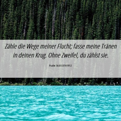 Picture 06 - Psalm 56:8 LUTH1912 - Zähle die Wege meiner Flucht; fasse meine - Bible Verse Picture