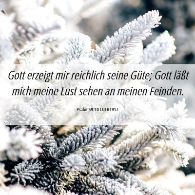Picture 06 - Psalm 59:10 LUTH1912 - Gott erzeigt mir reichlich seine Güte; Gott - Bible Verse Picture