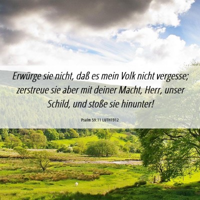 Picture 06 - Psalm 59:11 LUTH1912 - Erwürge sie nicht, daß es mein Volk nicht - Bible Verse Picture