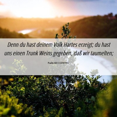Picture 06 - Psalm 60:3 LUTH1912 - Denn du hast deinem Volk Hartes erzeigt; du hast - Bible Verse Picture