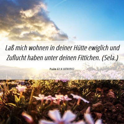 Picture 06 - Psalm 61:4 LUTH1912 - Laß mich wohnen in deiner Hütte ewiglich und - Bible Verse Picture