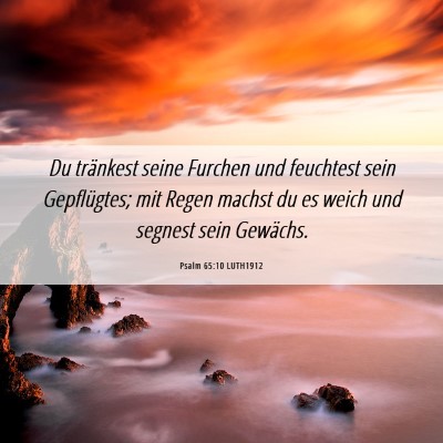 Picture 06 - Psalm 65:10 LUTH1912 - Du tränkest seine Furchen und feuchtest sein - Bible Verse Picture