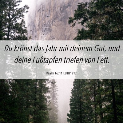 Picture 06 - Psalm 65:11 LUTH1912 - Du krönst das Jahr mit deinem Gut, und deine - Bible Verse Picture