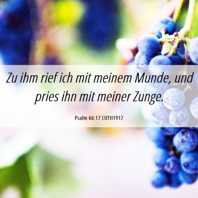 Picture 06 - Psalm 66:17 LUTH1912 - Zu ihm rief ich mit meinem Munde, und pries ihn - Bible Verse Picture