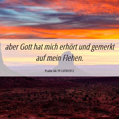 Picture 06 - Psalm 66:19 LUTH1912 - aber Gott hat mich erhört und gemerkt auf mein - Bible Verse Picture
