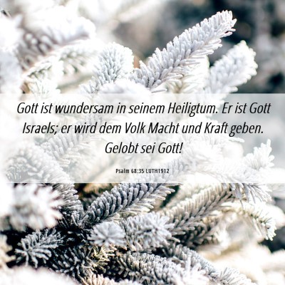 Picture 06 - Psalm 68:35 LUTH1912 - Gott ist wundersam in seinem Heiligtum. Er ist - Bible Verse Picture
