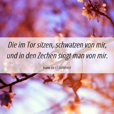 Picture 06 - Psalm 69:12 LUTH1912 - Die im Tor sitzen, schwatzen von mir, und in den - Bible Verse Picture