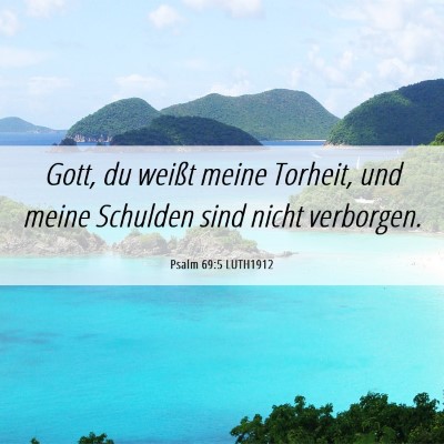 Picture 06 - Psalm 69:5 LUTH1912 - Gott, du weißt meine Torheit, und meine Schulden - Bible Verse Picture