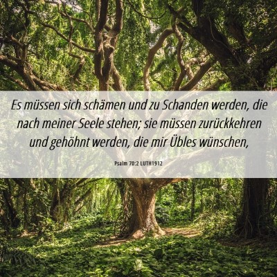 Picture 06 - Psalm 70:2 LUTH1912 - Es müssen sich schämen und zu Schanden werden, - Bible Verse Picture