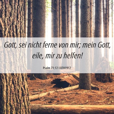 Picture 06 - Psalm 71:12 LUTH1912 - Gott, sei nicht ferne von mir; mein Gott, eile, - Bible Verse Picture