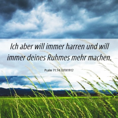 Picture 06 - Psalm 71:14 LUTH1912 - Ich aber will immer harren und will immer deines - Bible Verse Picture