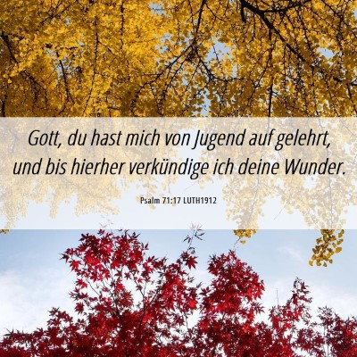 Picture 06 - Psalm 71:17 LUTH1912 - Gott, du hast mich von Jugend auf gelehrt, und - Bible Verse Picture