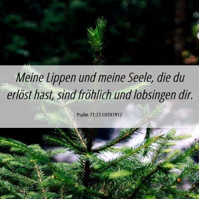 Picture 06 - Psalm 71:23 LUTH1912 - Meine Lippen und meine Seele, die du erlöst - Bible Verse Picture