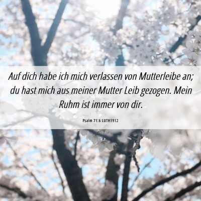 Picture 06 - Psalm 71:6 LUTH1912 - Auf dich habe ich mich verlassen von Mutterleibe - Bible Verse Picture