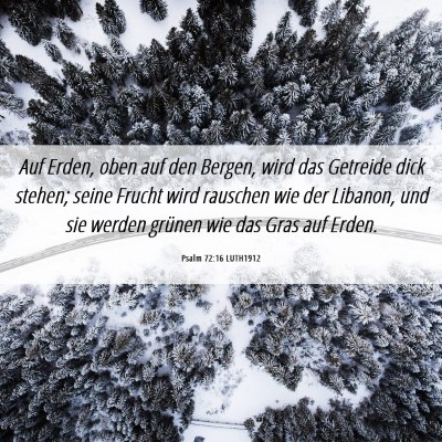 Picture 06 - Psalm 72:16 LUTH1912 - Auf Erden, oben auf den Bergen, wird das Getreide - Bible Verse Picture