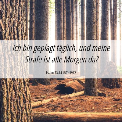 Picture 06 - Psalm 73:14 LUTH1912 - ich bin geplagt täglich, und meine Strafe ist - Bible Verse Picture