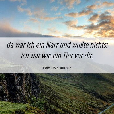 Picture 06 - Psalm 73:22 LUTH1912 - da war ich ein Narr und wußte nichts; ich war - Bible Verse Picture