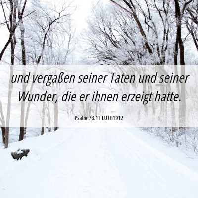 Picture 06 - Psalm 78:11 LUTH1912 - und vergaßen seiner Taten und seiner Wunder, die - Bible Verse Picture
