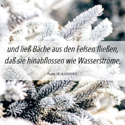 Picture 06 - Psalm 78:16 LUTH1912 - und ließ Bäche aus den Felsen fließen, daß - Bible Verse Picture