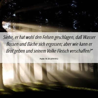 Picture 06 - Psalm 78:20 LUTH1912 - Siehe, er hat wohl den Felsen geschlagen, daß - Bible Verse Picture