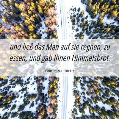 Picture 06 - Psalm 78:24 LUTH1912 - und ließ das Man auf sie regnen, zu essen, und - Bible Verse Picture