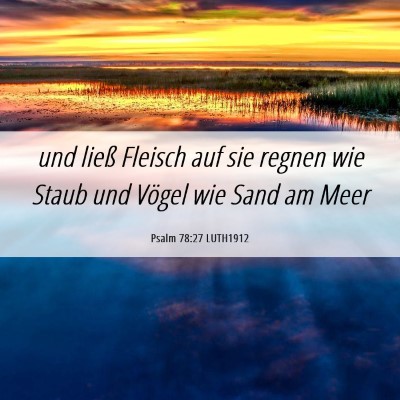 Picture 06 - Psalm 78:27 LUTH1912 - und ließ Fleisch auf sie regnen wie Staub und - Bible Verse Picture