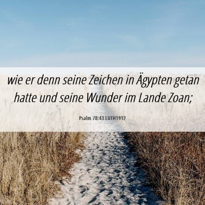 Picture 06 - Psalm 78:43 LUTH1912 - wie er denn seine Zeichen in Ägypten getan hatte - Bible Verse Picture