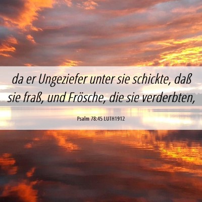 Picture 06 - Psalm 78:45 LUTH1912 - da er Ungeziefer unter sie schickte, daß sie - Bible Verse Picture