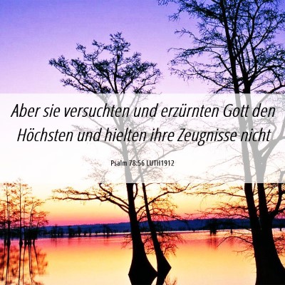 Picture 06 - Psalm 78:56 LUTH1912 - Aber sie versuchten und erzürnten Gott den - Bible Verse Picture
