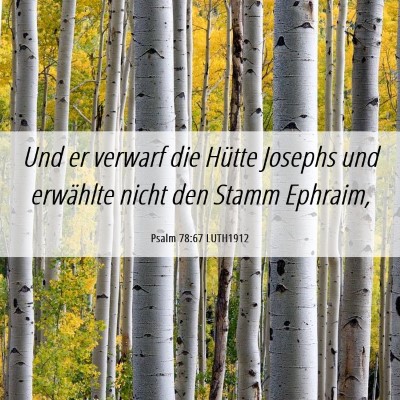 Picture 06 - Psalm 78:67 LUTH1912 - Und er verwarf die Hütte Josephs und erwählte - Bible Verse Picture