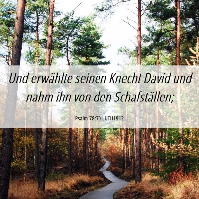 Picture 06 - Psalm 78:70 LUTH1912 - Und erwählte seinen Knecht David und nahm ihn - Bible Verse Picture