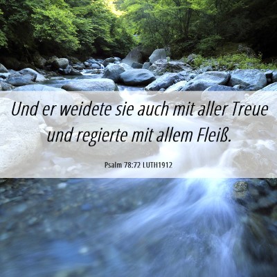 Picture 06 - Psalm 78:72 LUTH1912 - Und er weidete sie auch mit aller Treue und - Bible Verse Picture
