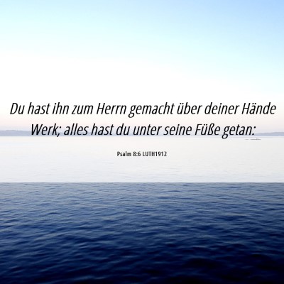 Picture 06 - Psalm 8:6 LUTH1912 - Du hast ihn zum Herrn gemacht über deiner Hände - Bible Verse Picture