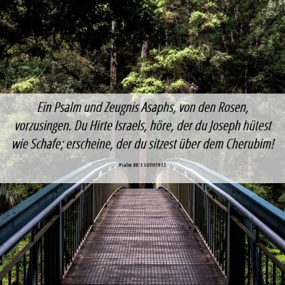 Picture 06 - Psalm 80:1 LUTH1912 - Ein Psalm und Zeugnis Asaphs, von den Rosen, - Bible Verse Picture