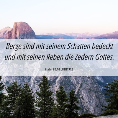 Picture 06 - Psalm 80:10 LUTH1912 - Berge sind mit seinem Schatten bedeckt und mit - Bible Verse Picture