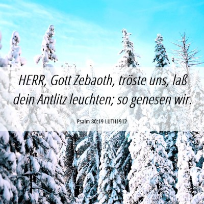 Picture 06 - Psalm 80:19 LUTH1912 - HERR, Gott Zebaoth, tröste uns, laß dein - Bible Verse Picture