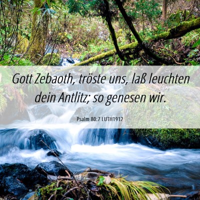Picture 06 - Psalm 80:7 LUTH1912 - Gott Zebaoth, tröste uns, laß leuchten dein - Bible Verse Picture