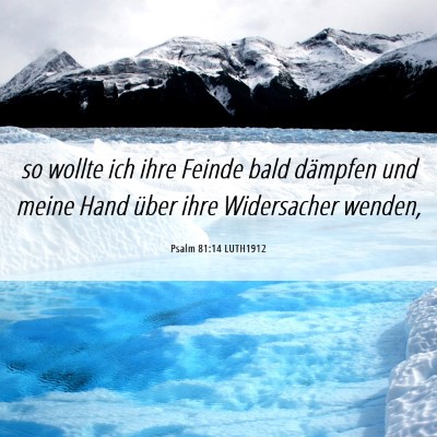 Picture 06 - Psalm 81:14 LUTH1912 - so wollte ich ihre Feinde bald dämpfen und meine - Bible Verse Picture
