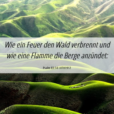 Picture 06 - Psalm 83:14 LUTH1912 - Wie ein Feuer den Wald verbrennt und wie eine - Bible Verse Picture