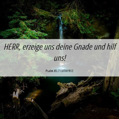 Picture 06 - Psalm 85:7 LUTH1912 - HERR, erzeige uns deine Gnade und hilf - Bible Verse Picture