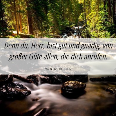 Picture 06 - Psalm 86:5 LUTH1912 - Denn du, Herr, bist gut und gnädig, von großer - Bible Verse Picture