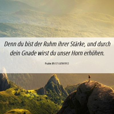 Picture 06 - Psalm 89:17 LUTH1912 - Denn du bist der Ruhm ihrer Stärke, und durch - Bible Verse Picture